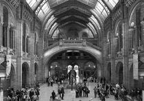 Natural History Museum by tgigreeny