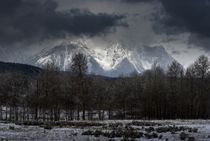 Snowstorm Over the Tetons by tgigreeny