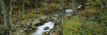 High angle view of a stream passing through a forest, New Hampshire, USA by Panoramic Images