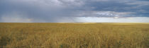 Clouds over a landscape, Masai Mara National Reserve, Kenya by Panoramic Images