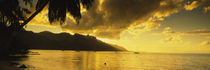 Silhouette Of Palm Trees At Dusk, Cooks Bay, Moorea, French Polynesia von Panoramic Images