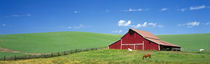 Red Barn With Horses WA von Panoramic Images