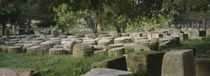 Ancient Olympia, Olympic Site, Greece von Panoramic Images
