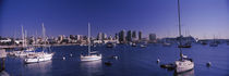Sailboats in the bay, San Diego, California, USA 2010 by Panoramic Images
