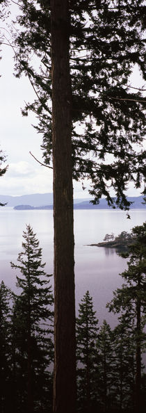  Chuckanut Bay, Skagit County, Washington State, USA von Panoramic Images
