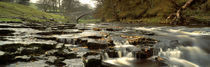 River Ribble, North Yorkshire, England, United Kingdom by Panoramic Images