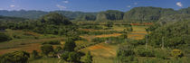 High angle view of a landscape, Valle De Vinales, Pinar Del Rio, Cuba by Panoramic Images