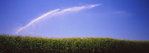 Water being sprayed on a corn field, Washington State, USA von Panoramic Images