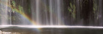 Rainbow formed in front of waterfall in a forest, California, USA by Panoramic Images