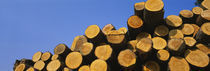 Stack of wooden logs in a timber industry, Austria von Panoramic Images