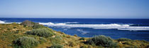 Waves breaking on the beach, Western Australia, Australia von Panoramic Images