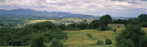 Trees on a landscape, Carsulae, Umbria, Italy by Panoramic Images