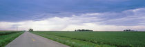 Storm clouds over a landscape, Illinois, USA von Panoramic Images