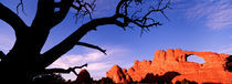  Skyline Arch, Arches National Park, Utah, USA von Panoramic Images