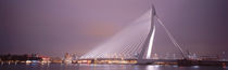 Erasmus Bridge, Rotterdam, Holland, Netherlands by Panoramic Images