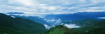 Panorama Print - China, Sichuan, Nebelwald von Panoramic Images
