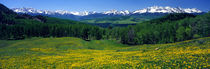 Panorama Print - San Miguel Berge im Frühjahr, Colorado, USA von Panoramic Images