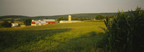 Crop in a field, Frederick County, Virginia, USA by Panoramic Images