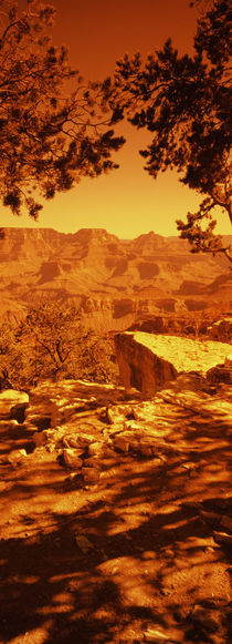  South Rim, Grand Canyon National Park, Arizona, USA von Panoramic Images