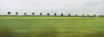Trees in a row viewed through a train window, Baden-Wurttemberg, Germany by Panoramic Images