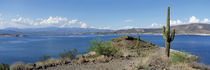 Lake Pleasant, Arizona, USA von Panoramic Images