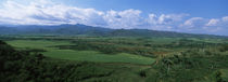 High angle view of sugar cane fields, Cienfuegos, Cienfuegos Province, Cuba von Panoramic Images