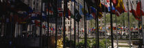 Flags in a row, Rockefeller Plaza, Manhattan, New York City, New York State, USA von Panoramic Images