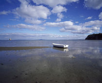 Dinghy on the beach, Auckland, New Zealand by Panoramic Images