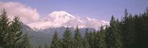 Mt Ranier Mt Ranier National Park WA by Panoramic Images