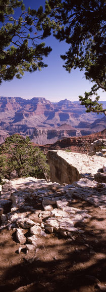 South Rim, Grand Canyon National Park, Arizona, USA by Panoramic Images
