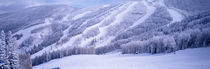 Mountains, Snow, Steamboat Springs, Colorado, USA von Panoramic Images