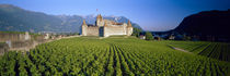  Musee de la Vigne et du Vin, Aigle, Vaud, Switzerland von Panoramic Images