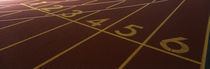 Track, Starting Line by Panoramic Images