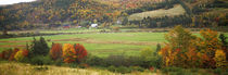 Cape Breton Highlands near North East Margaree, Nova Scotia, Canada by Panoramic Images