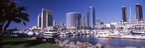 Boats at a harbor, San Diego, California, USA 2010 by Panoramic Images
