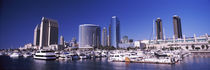 Boats at a harbor, San Diego, California, USA 2010 by Panoramic Images