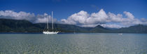 Sailboat in a bay, Kaneohe Bay, Oahu, Hawaii, USA by Panoramic Images