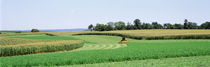  Harvesting, Farm, Frederick County, Maryland, USA von Panoramic Images