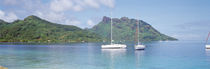 Sailboats in the sea, Tahiti, Society Islands, French Polynesia by Panoramic Images