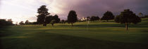 Trees in a golf course, Montecito Country Club, Santa Barbara, California, USA by Panoramic Images