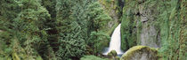 Waterfall in a forest, Columbia River Gorge, Oregon, USA von Panoramic Images
