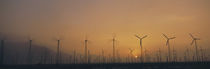 Windmills in a field, Palm Springs, Riverside County, California, USA by Panoramic Images
