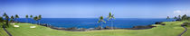 Trees in a golf course, Kona Country Club Ocean Course, Kailua Kona, Hawaii by Panoramic Images