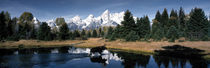 Moose & Beaver Pond Grand Teton National Park WY USA by Panoramic Images