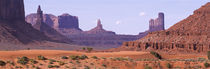 Panorama Print - Blick nach Nordwesten, The Valley Arizona, USA von Panoramic Images