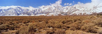 Eastern Sierra, California, USA by Panoramic Images