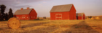 Red barns in a farm, Palouse, Whitman County, Washington State, USA von Panoramic Images