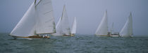 Sailboats at regatta, Newport, Rhode Island, USA von Panoramic Images
