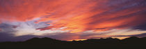 Sunset over Black Hills National Forest Custer Park State Park SD USA by Panoramic Images