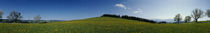 Panoramic view of a landscape, St. Peter, Lindenberg, Black Forest, Germany by Panoramic Images